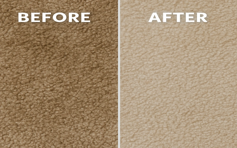 How to Extend the Life of Your Carpet: Proven Maintenance Tips